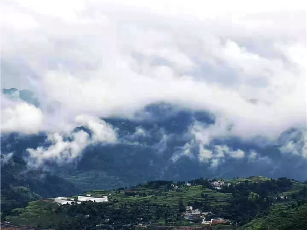 1573468293683695.jpg 圖片13.jpg