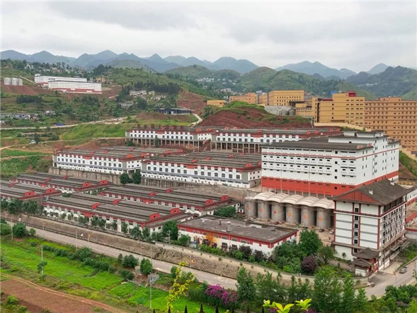 1573468310638100.jpg 圖片14.jpg