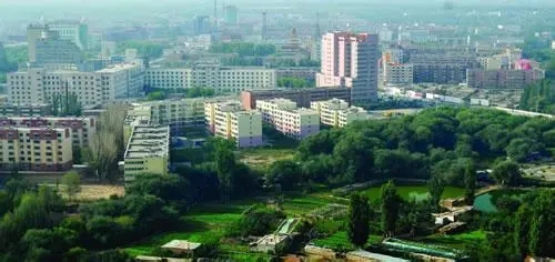 1585389437988666.jpg 1.webp.jpg