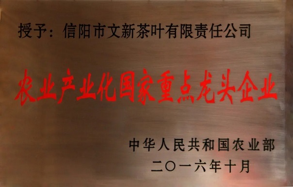 1595239800513582.jpg 8.webp.jpg